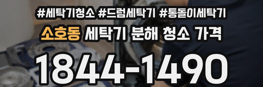 소호동 세탁기 분해 청소 가격