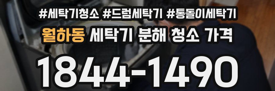 월하동 세탁기 분해 청소 가격