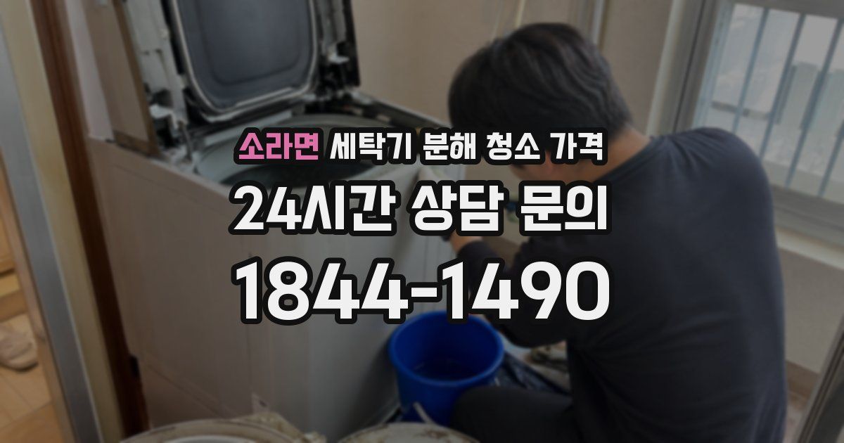 소라면 세탁기 분해 청소 가격