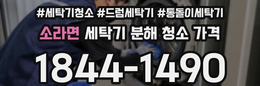 소라면 세탁기 분해 청소 가격