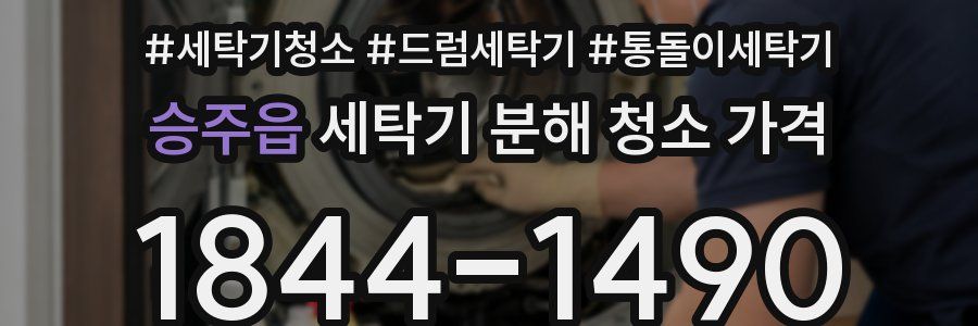 승주읍 세탁기 분해 청소 가격