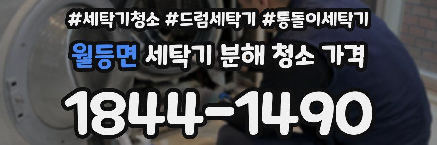 월등면 세탁기 분해 청소 가격