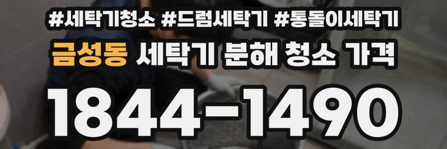 금성동 세탁기 분해 청소 가격