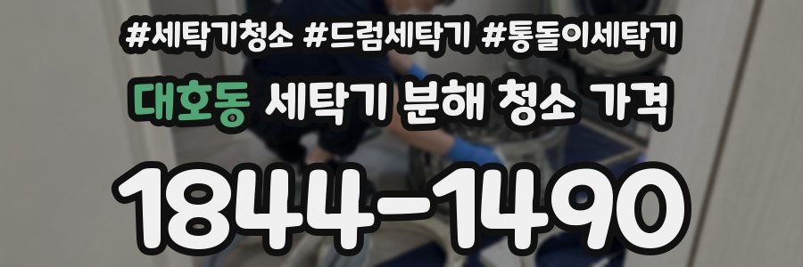 대호동 세탁기 분해 청소 가격