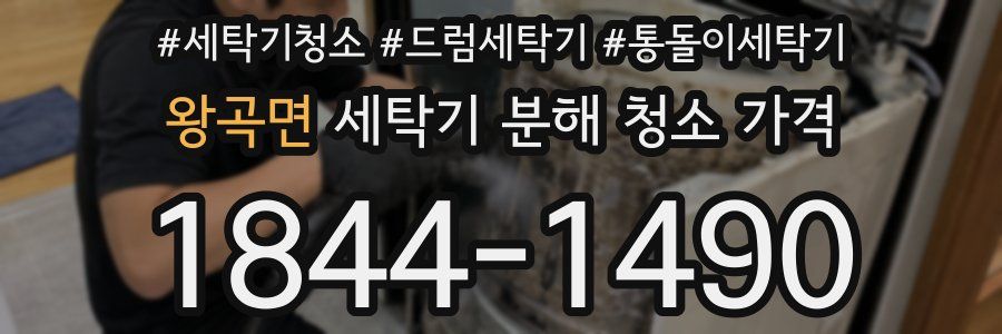 왕곡면 세탁기 분해 청소 가격