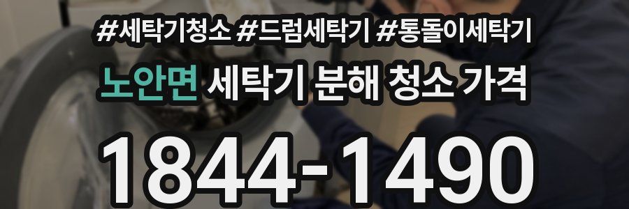 노안면 세탁기 분해 청소 가격