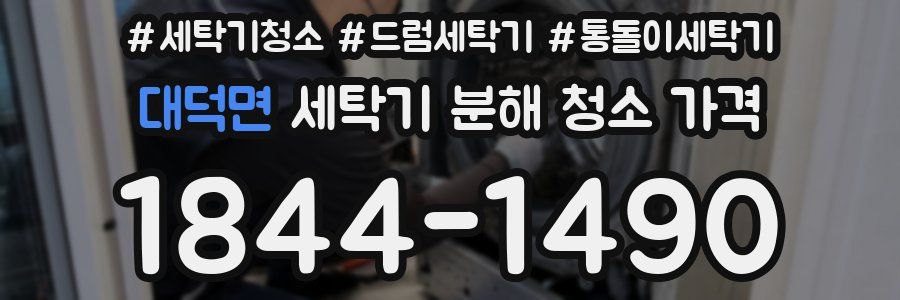 대덕면 세탁기 분해 청소 가격