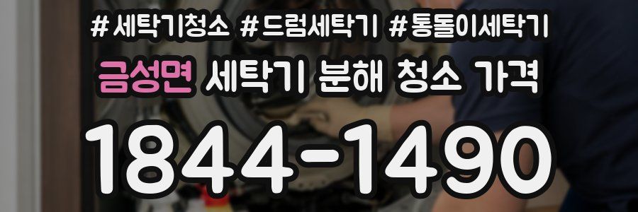 금성면 세탁기 분해 청소 가격