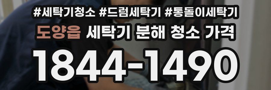도양읍 세탁기 분해 청소 가격