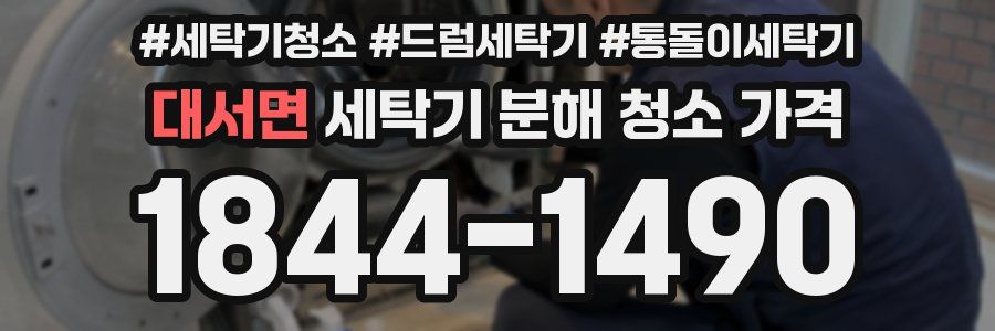 대서면 세탁기 분해 청소 가격