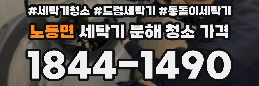 노동면 세탁기 분해 청소 가격