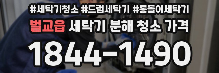 벌교읍 세탁기 분해 청소 가격