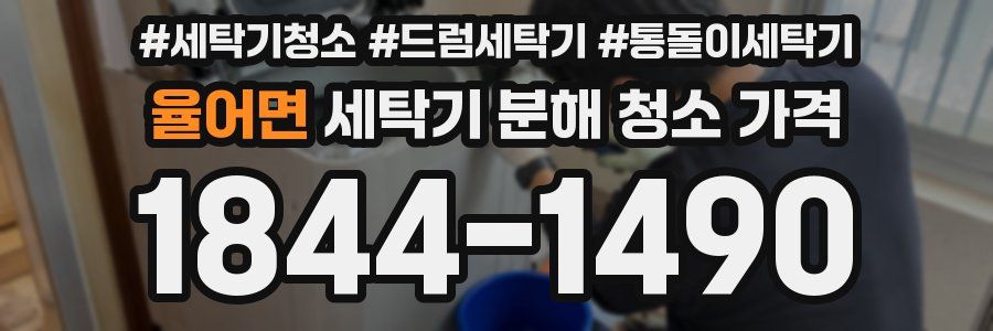 율어면 세탁기 분해 청소 가격