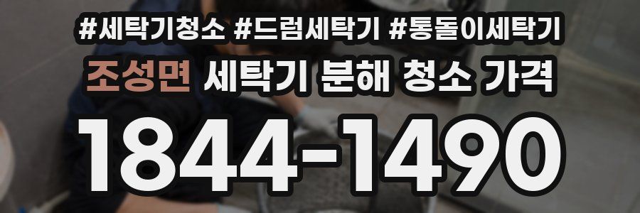 조성면 세탁기 분해 청소 가격