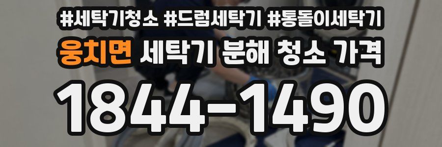 웅치면 세탁기 분해 청소 가격