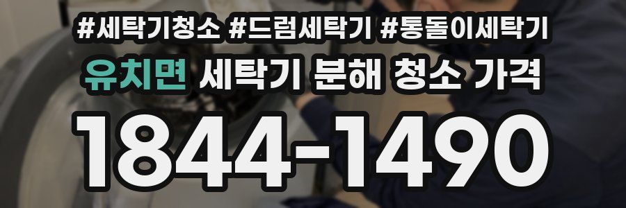 유치면 세탁기 분해 청소 가격