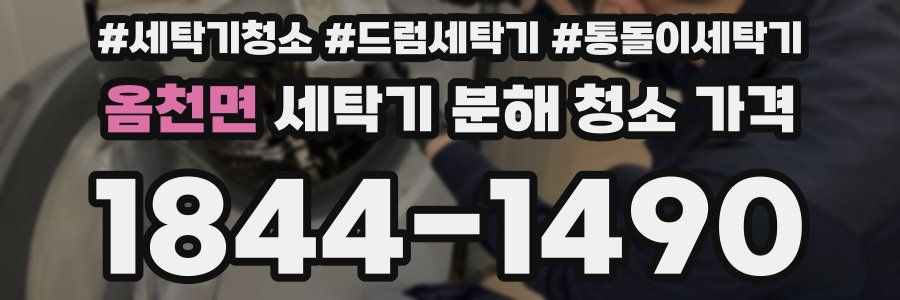 옴천면 세탁기 분해 청소 가격