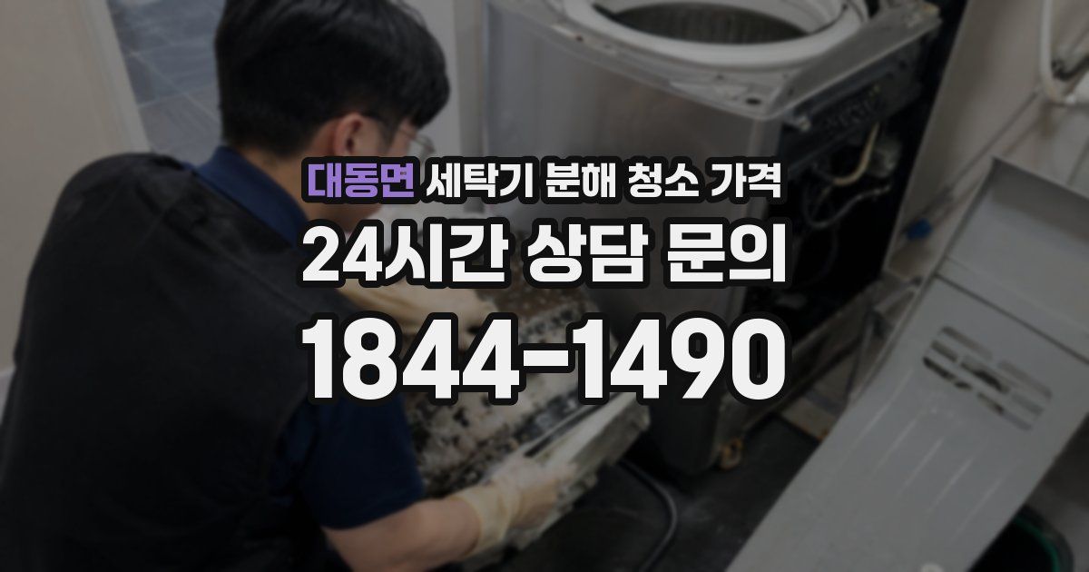 대동면 세탁기 분해 청소 가격