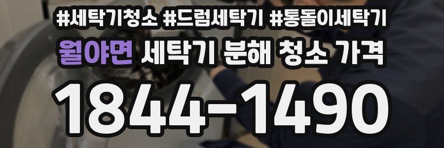 월야면 세탁기 분해 청소 가격