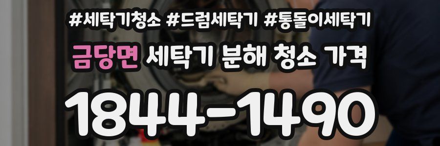 금당면 세탁기 분해 청소 가격