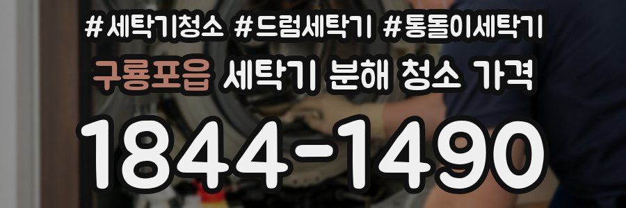 구룡포읍 세탁기 분해 청소 가격