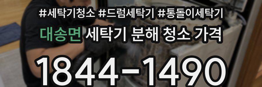 대송면 세탁기 분해 청소 가격