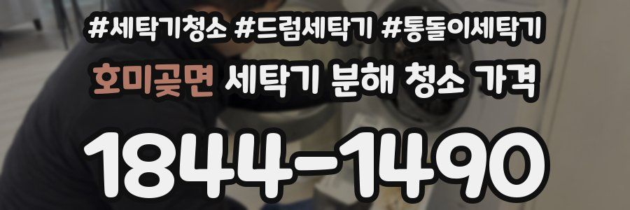 호미곶면 세탁기 분해 청소 가격