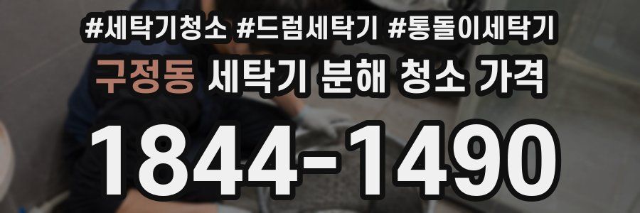 구정동 세탁기 분해 청소 가격