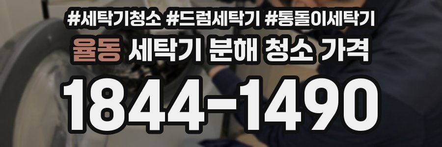율동 세탁기 분해 청소 가격