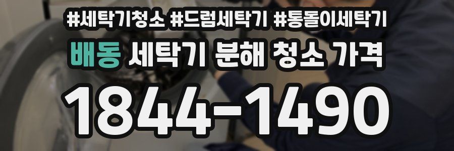 배동 세탁기 분해 청소 가격