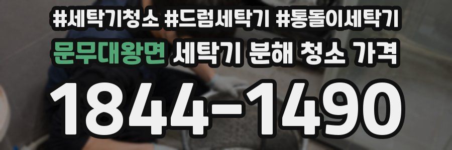 문무대왕면 세탁기 분해 청소 가격
