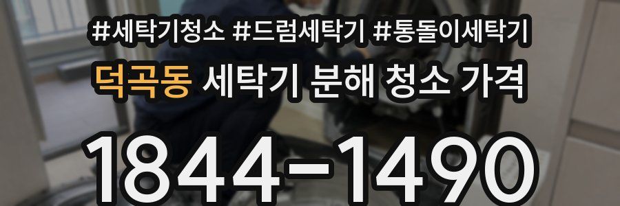 덕곡동 세탁기 분해 청소 가격