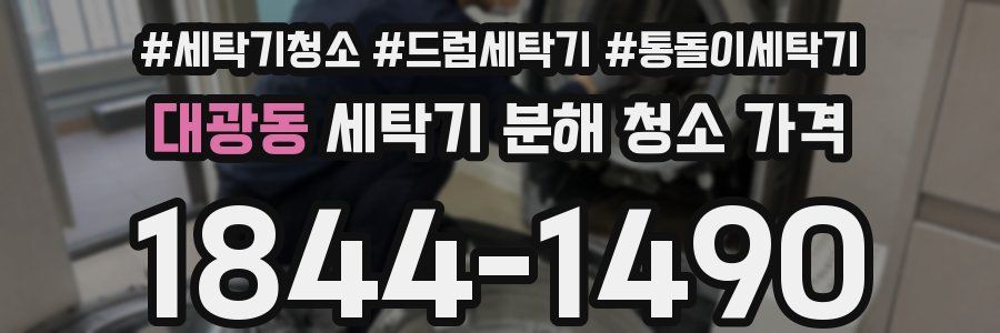 대광동 세탁기 분해 청소 가격