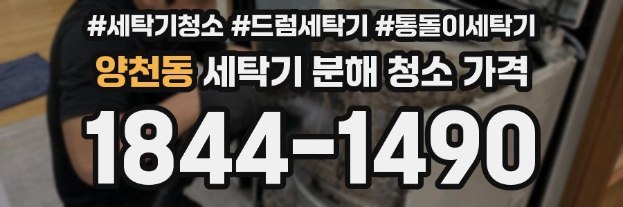 양천동 세탁기 분해 청소 가격