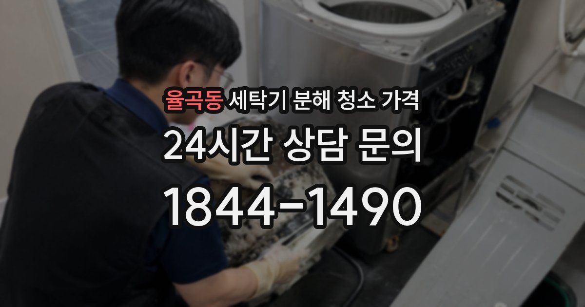 율곡동 세탁기 분해 청소 가격