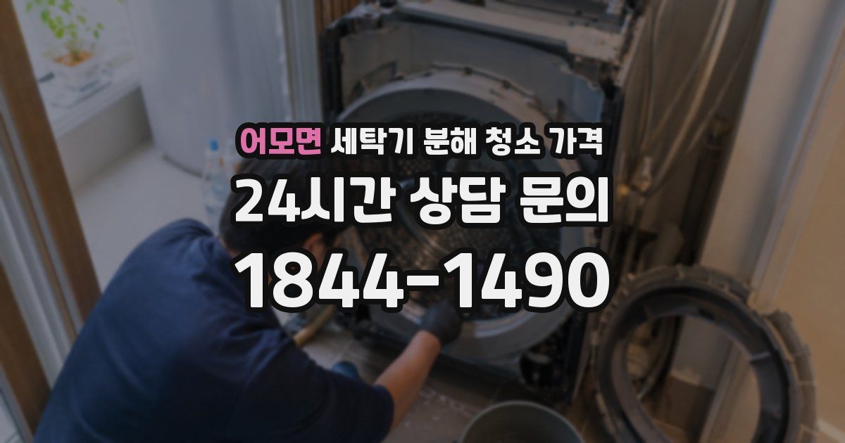 어모면 세탁기 분해 청소 가격
