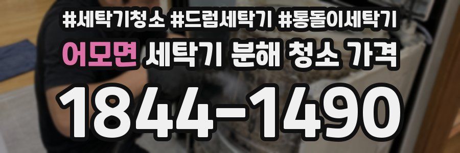 어모면 세탁기 분해 청소 가격
