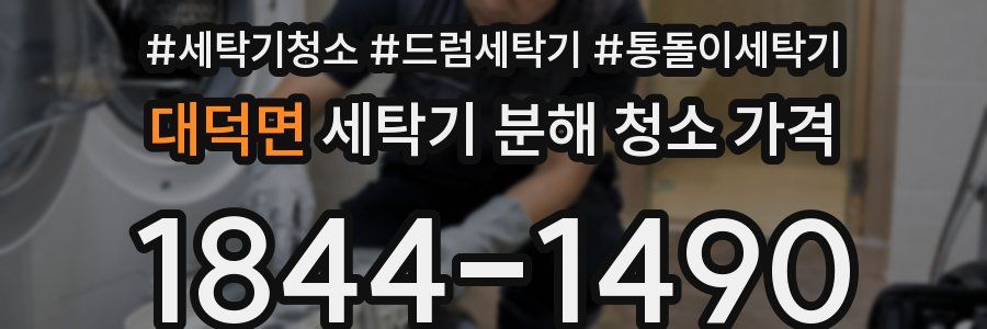 대덕면 세탁기 분해 청소 가격