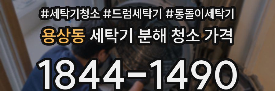 용상동 세탁기 분해 청소 가격