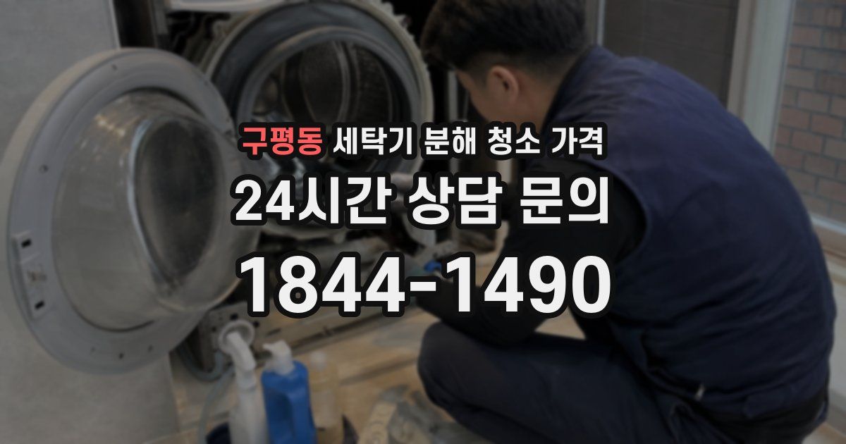 구평동 세탁기 분해 청소 가격
