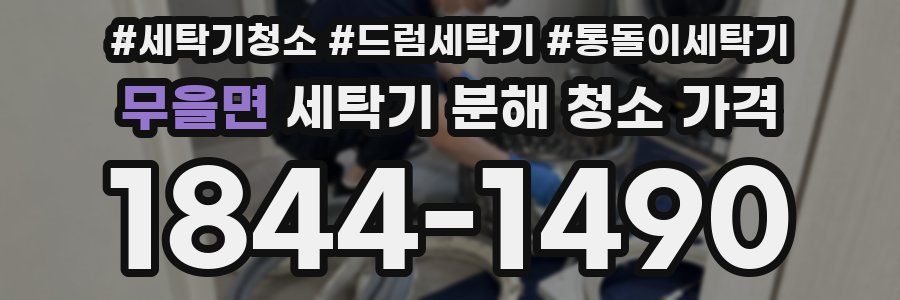 무을면 세탁기 분해 청소 가격