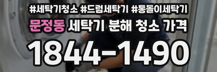 문정동 세탁기 분해 청소 가격