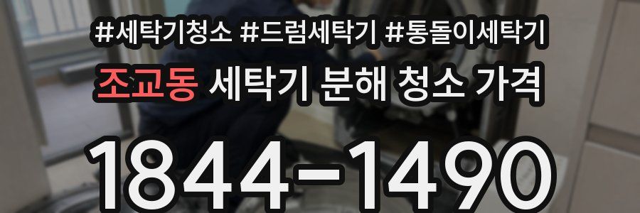 조교동 세탁기 분해 청소 가격