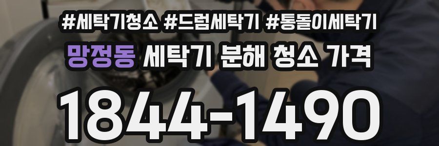 망정동 세탁기 분해 청소 가격
