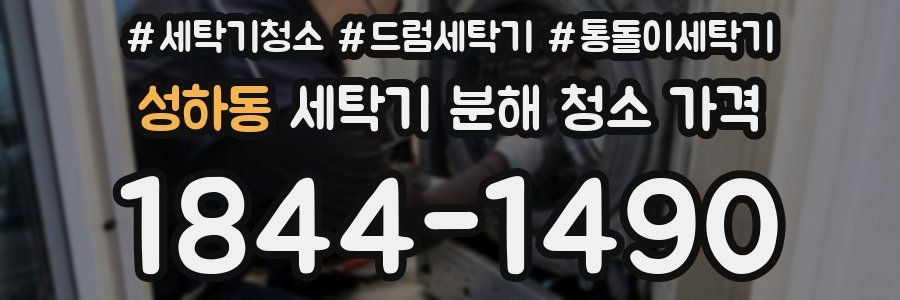 성하동 세탁기 분해 청소 가격