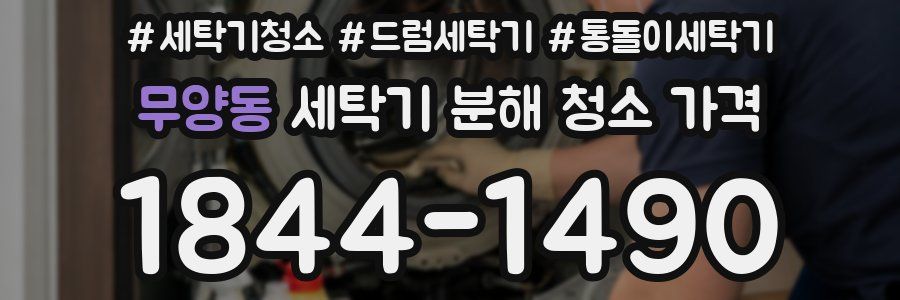무양동 세탁기 분해 청소 가격
