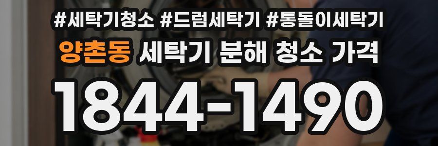 양촌동 세탁기 분해 청소 가격