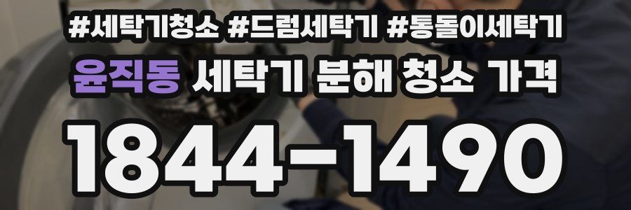 윤직동 세탁기 분해 청소 가격