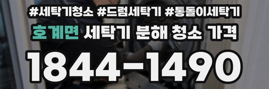 호계면 세탁기 분해 청소 가격