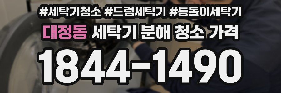 대정동 세탁기 분해 청소 가격